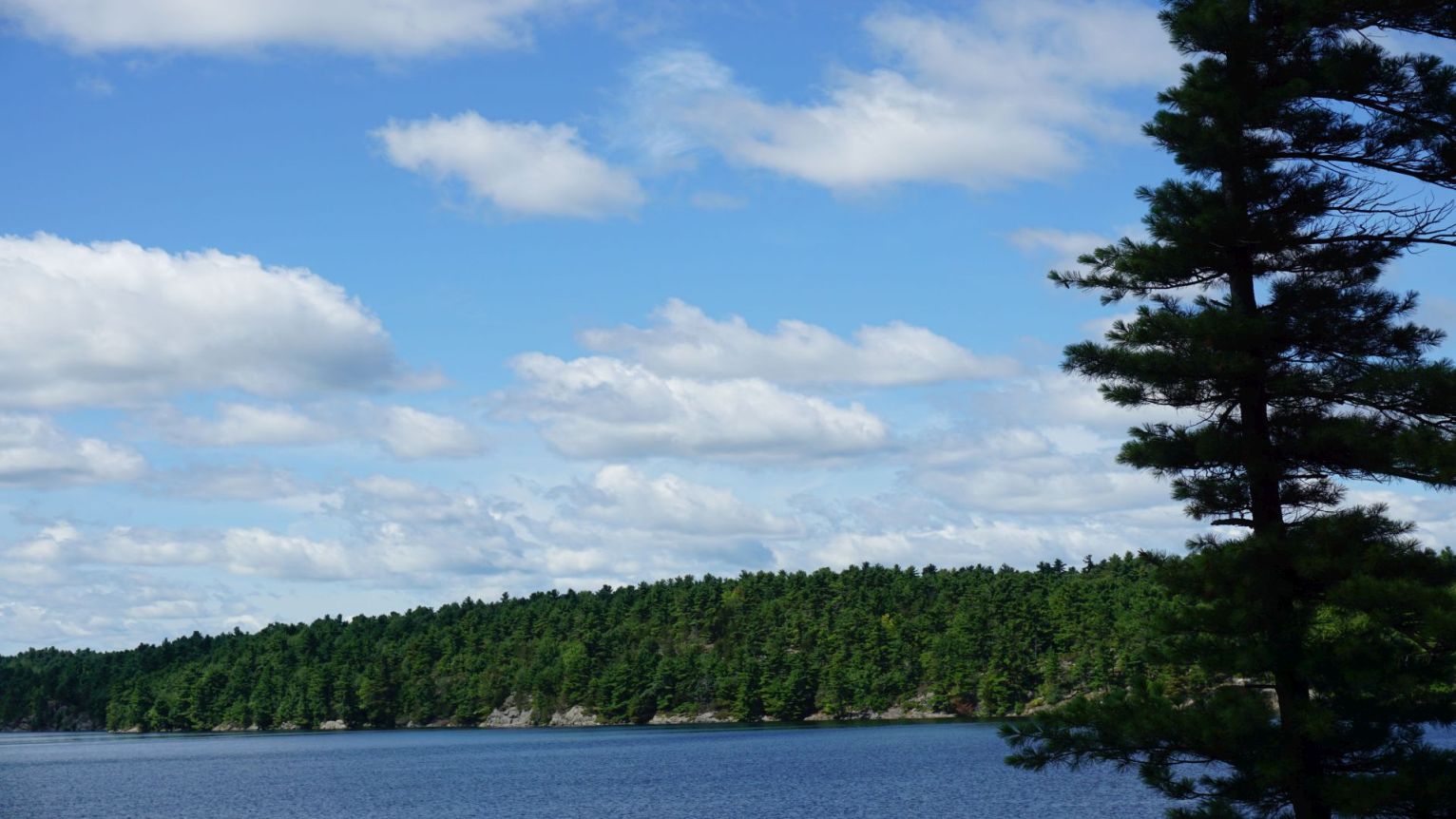 View of island